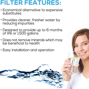 EcoAqua EWF-8007A Lincat FC04 Water Filter Replacement - White by EcoAqua