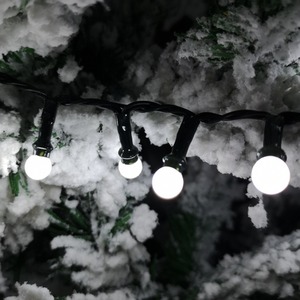 Frosted Berry Christmas String Lights by Samuel Alexander