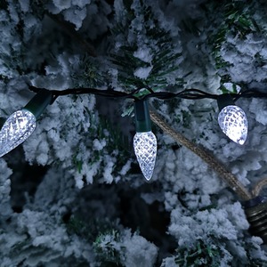 Multi action Pine Cone Christmas Lights - white by Samuel Alexander