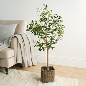 Natural Home Decor Artificial Olive Tree In Pot Plant - Green by OHS