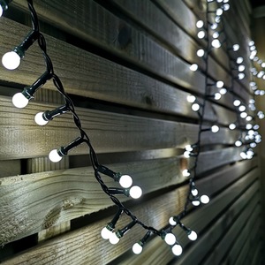 Frosted Berry Christmas String Lights by Samuel Alexander