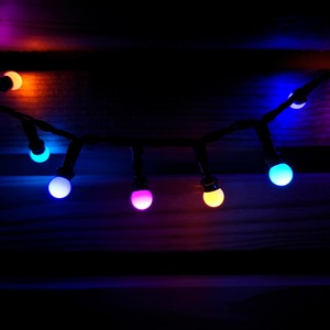 Frosted Berry Christmas String Lights by Samuel Alexander