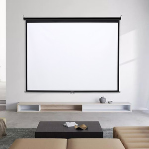 Manual Projector Screen Matt Pull Down Projection by Livingandhome
