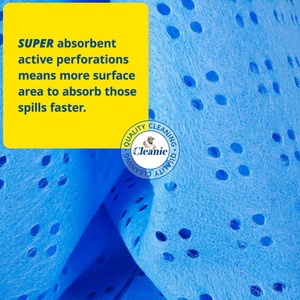 Perforated Super Absorbent Household Cloth in Blue ( 10 pack ) - Blue by Mr Cleanie