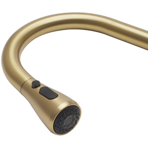 Stainless Steel Pull-Out Mixer Water Tap by Livingandhome