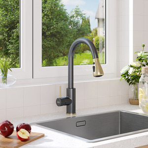 Stainless Steel Pull-Out Mixer Water Tap by Livingandhome