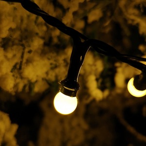 Frosted Berry Christmas String Lights - Warm White by Samuel Alexander