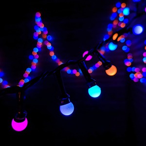Frosted Berry Christmas Lights with LEDs by Samuel Alexander
