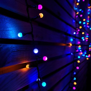 Frosted Berry Christmas Lights with LEDs by Samuel Alexander