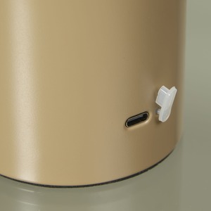 Portable Led Mushroom Table Lamp Taupe - Brown by Lighting Collection