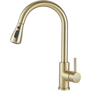 Stainless Steel Pull-Out Mixer Water Tap by Livingandhome