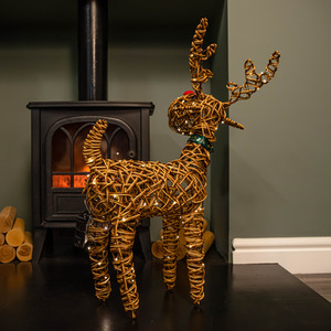 Battery Operated Light up Christmas Reindeer with Nose and LEDs - Brown by Samuel Alexander