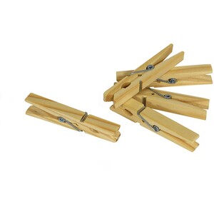 Pack of 100 Beech Wooden Pegs