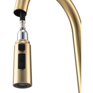 Stainless Steel Mixer Tap with 3 Water Flow Modes - Gold by Livingandhome