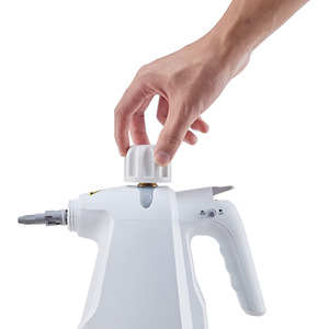 1000W Handheld Steam Cleaner - White by Livingandhome
