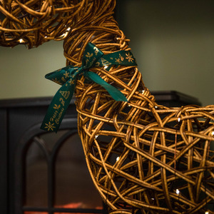 Battery Operated Light up Christmas Reindeer with 120 LEDs - Brown by Samuel Alexander