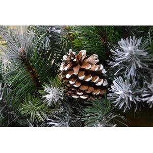 Frosted Glacier Christmas Wreath with Pine Cones - Green / White by Samuel Alexander