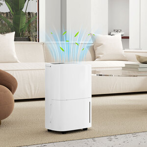 HOMCOM 20L per Day Dehumidifier with 5L Water Tank - White by HOMCOM