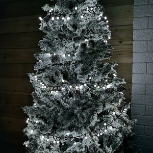 Frosted Berry Christmas String Lights by Samuel Alexander