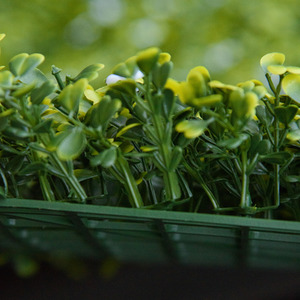 Outsunny 2PCS 50cm x 50cm Artificial Boxwood Wall - Yellow-green by Outsunny