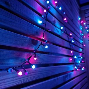 Frosted Berry Christmas String Lights by Samuel Alexander