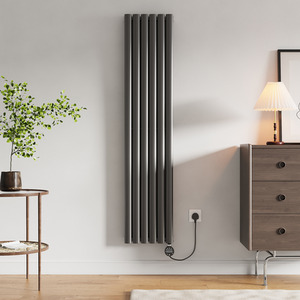 Wall-Mounted Electric Radiator with Smart Thermostat - Black by Livingandhome