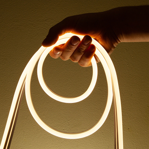 Smart RGB Flexible Rope Lights - White / 28.5cm by ValueLights