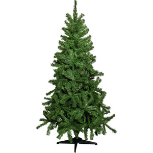 6ft Colorado Spruce Christmas Tree in Green with 481 tips - Green by Samuel Alexander