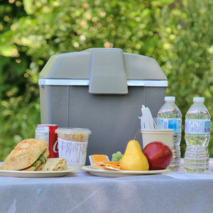 Traveller III P9 Thermoelectric Iceless 12V Cooler Warmer - Grey by Koolatron