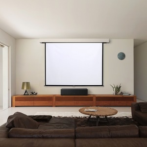 Manual Projector Screen Matt Pull Down Projection by Livingandhome