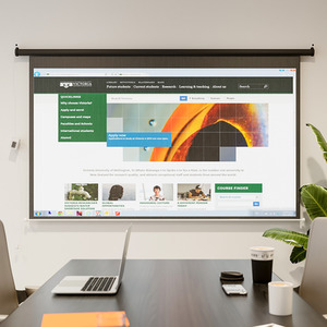 Electric Motorized Projector Screen by Livingandhome