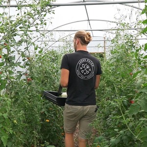 18Ft Heavy Duty Polytunnel Kit - Professional Greenhouse by Direct Polytunnels
