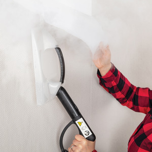 Steam Dynamo Multi Tool Steam Cleaner - Black by Ewbank