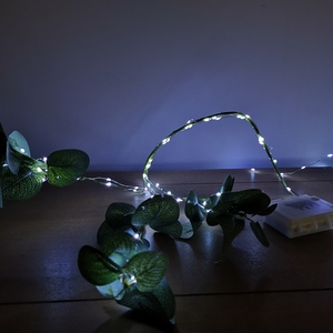 Premier 100 Cool LED Battery Operated Christmas Lights - Cool White by Samuel Alexander