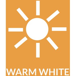 Crystalite Antique LED Golden Filament ES Bulb - White by Status