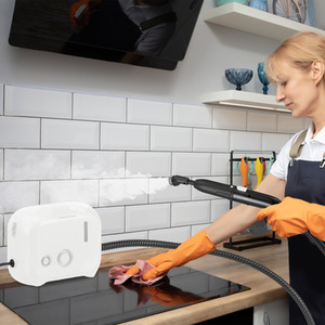 1600W Portable Steam Cleaner - White by Costway