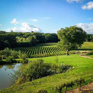 Vineyard Tour and Tasting for Two Gift Experience - Red by Find Me A Gift