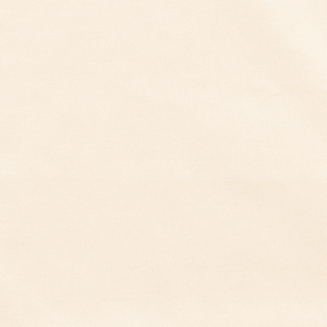 Icon Indoor Outdoor Chair Cushion with High Back - White / 2 by Icon