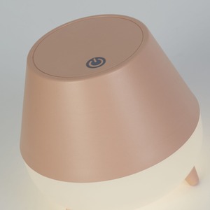 Rechargeable Pink Storage Table Lamp - Pink by Lighting Collection