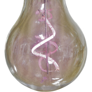 10 LED Neon Bulb String Light