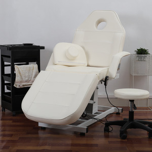 Electric Height-Adjustable Beauty Salon Bed - White by Livingandhome