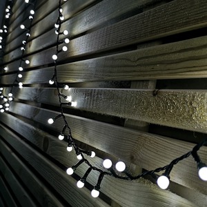 Frosted Berry Christmas Lights with LEDs by Samuel Alexander