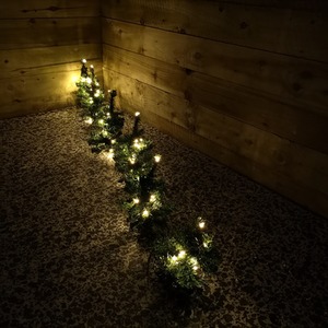 3 Packs of 6 LED Christmas Tree Path Lights - Pine Green by Samuel Alexander