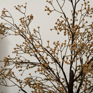 HOMCOM Artificial Gypsophila Tree with Lights Baby Breath Flowers - Brown / 4ft by HOMCOM