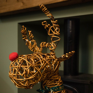 Battery Operated Light up Christmas Reindeer with 120 LEDs - Brown by Samuel Alexander