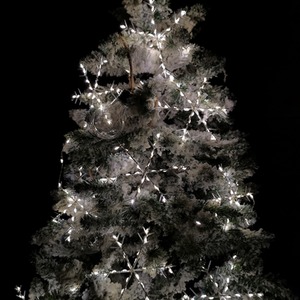 Set of Snowflake Curtain Lights LEDs MicroBrights String Lights - Warm White by Samuel Alexander