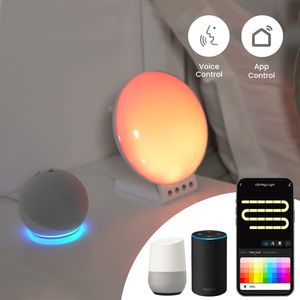 Smart Sunrise Alarm Clock - White by ValueLights