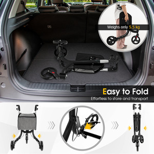 Foldable Mobility Aid Walker-Black - Black by Costway