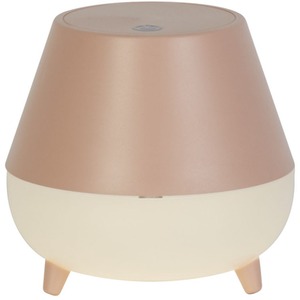 Rechargeable Pink Storage Table Lamp - Pink by Lighting Collection