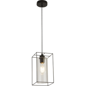Black Frame Single Pendant - Black by Lighting Collection